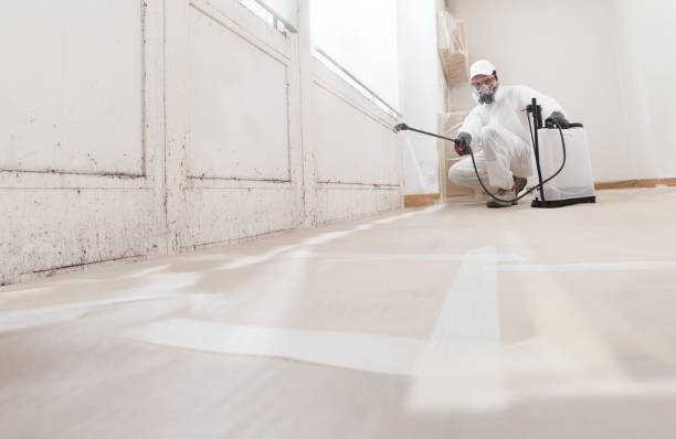 24/7 Emergency Attic Mold Removal experts in Mesquite, TX